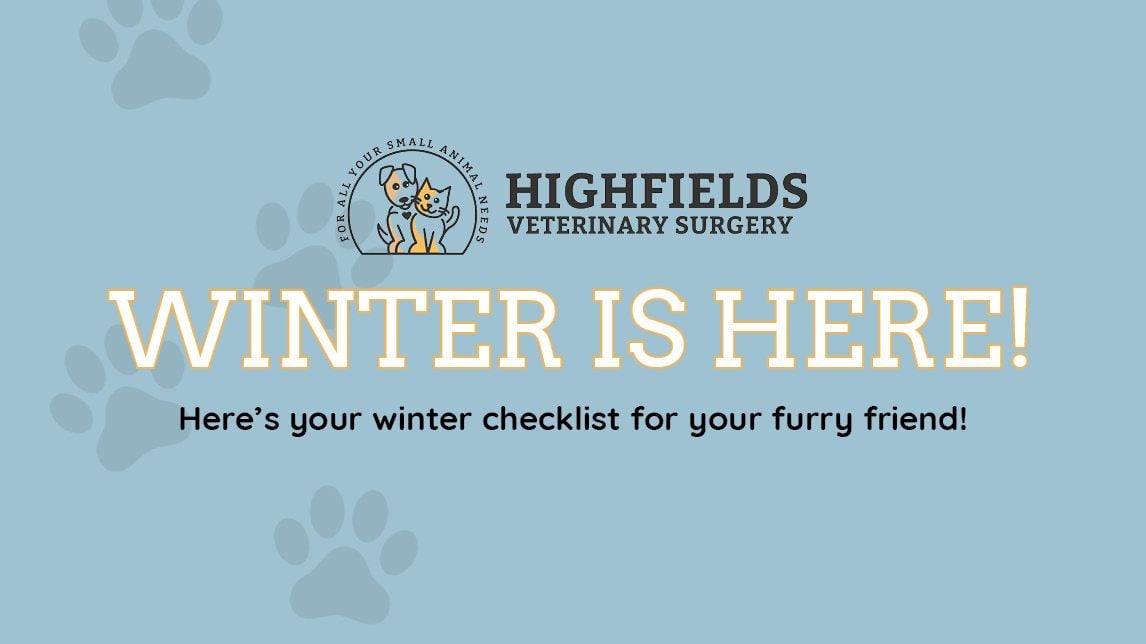 Winter Pet Health: Keeping Your Furry Friends Safe and Comfortable! Winter Pet Health: Keeping Your Furry Friends Safe and Comfortable!